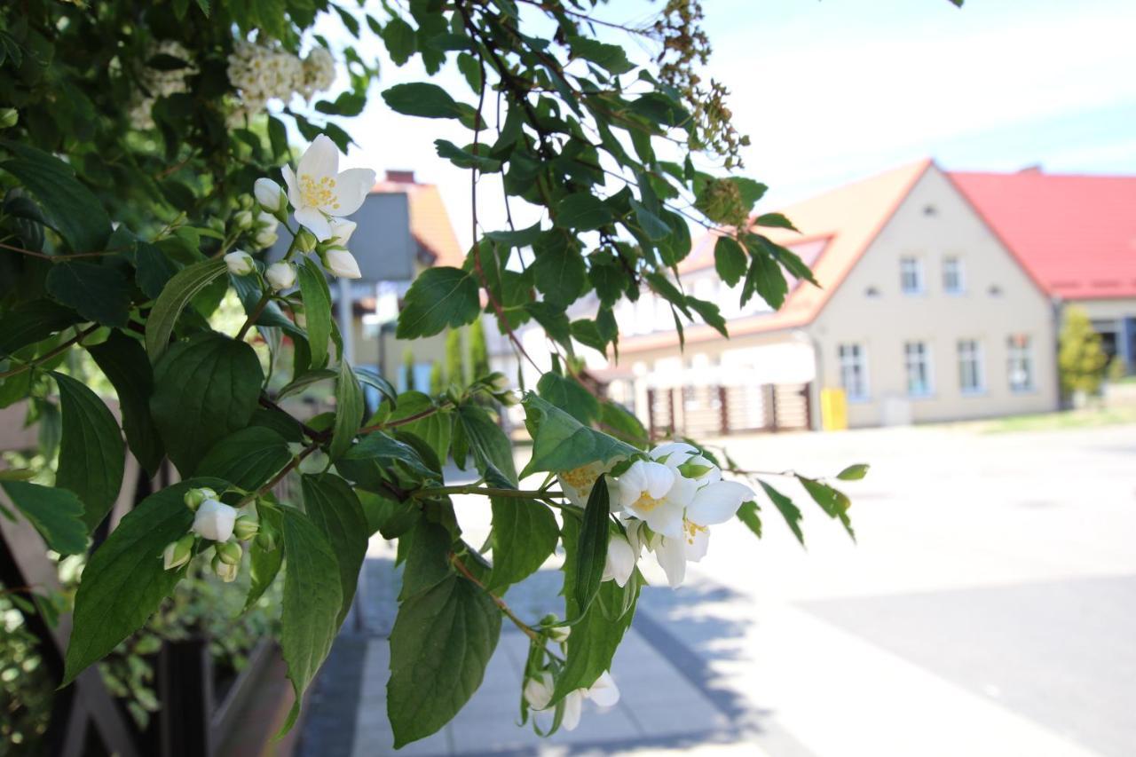 Apartamenty Royal Maris 1 - Najlepsza Lokalizacja W Ustce, Blisko Plazy I Portu, Bezplatny Parking, Scisle Centrum Ustka Exteriör bild